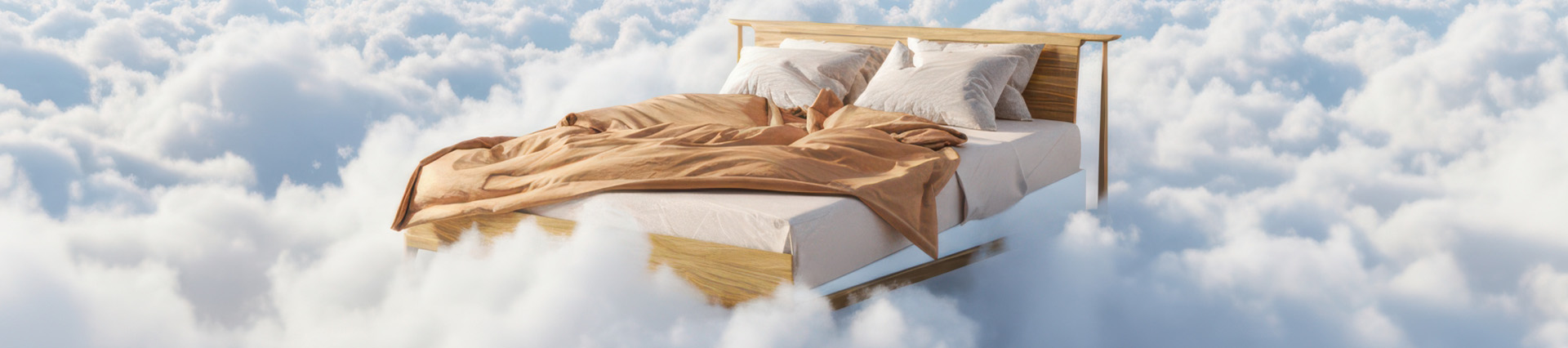 Inclined Sleep Therapy